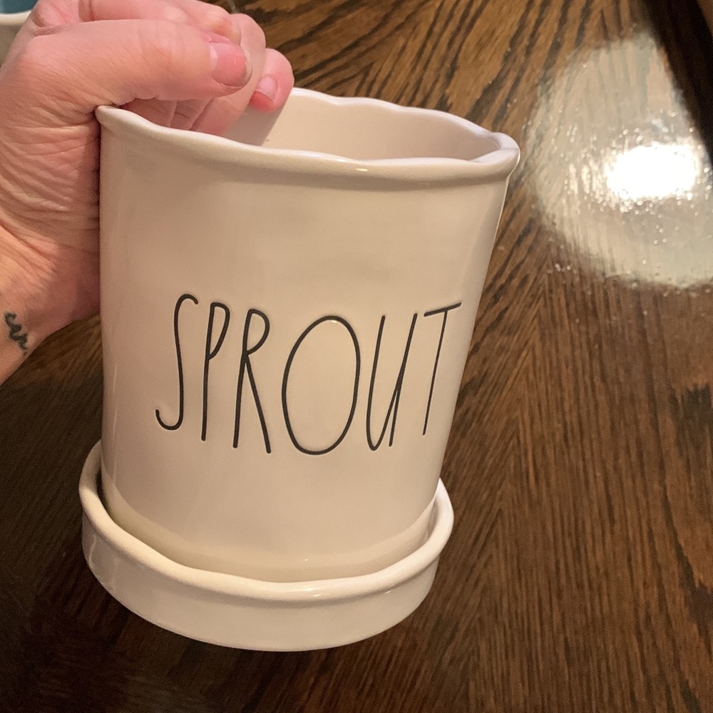 Sprout Rae Dunn Pot